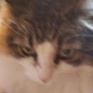 Meet your Posher, Avery